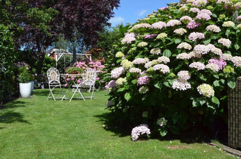 Bed and Breakfast Bloemenhoeve Birdaard Exteriér fotografie